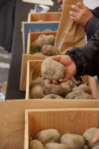 丹波篠山 山の芋フェア　兵庫県丹波篠山市